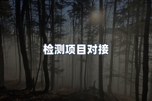 检测项目对接